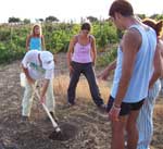 9 agosto 2004, Oasi WWF di Torre Salsa - manutenzione piante con i campisti