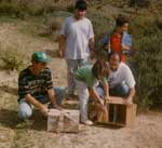 1987, Siculiana, Torre Salsa - liberazione rapaci