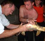 26 luglio 2004, Recupero tartaruga marina ferita