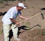 30 settembre 2004, Oasi WWF di Torre Salsa - lavori di manutenzione piante