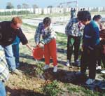 marzo 1991, Licata, Scuola media �G. Marconi� - festa dell�albero